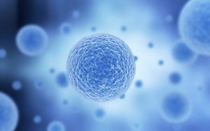 How Hematopoietic Stem Cell Transplantation (HSCT) has helped?