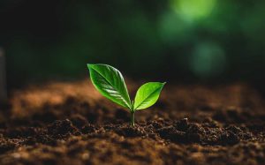 Post Office Recurring Deposit why a good option for long-term Investments