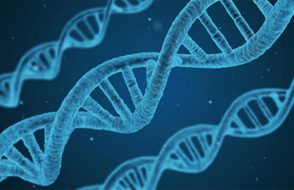 The 4 Stage wise Colon Cancer Treatment Options