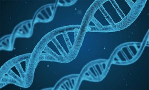 The 4 Stage wise Colon Cancer Treatment Options