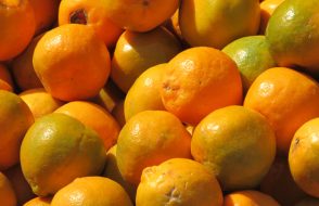 Foods to Supercharge your Lungs and Immune System