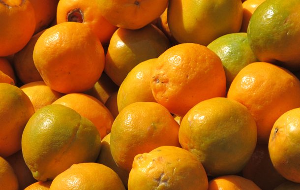 Foods to Supercharge your Lungs and Immune System