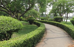 Top 5 Gardens to visit in Kolkata for Tourists to their trip Amazing