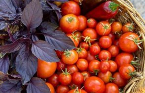 Whole Food Boosters that help Transform your Smoothie