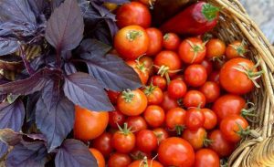 Whole Food Boosters that help Transform your Smoothie