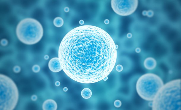 6 Industries and Industrial Applications that use Microbiology Tests