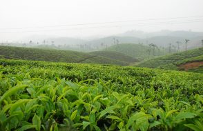 7th Heaven the postcard Town Valparai and Aliyar Dam