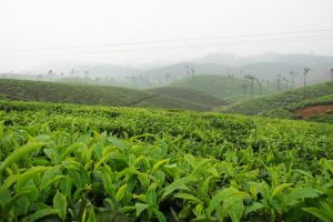 7th Heaven the postcard Town Valparai and Aliyar Dam