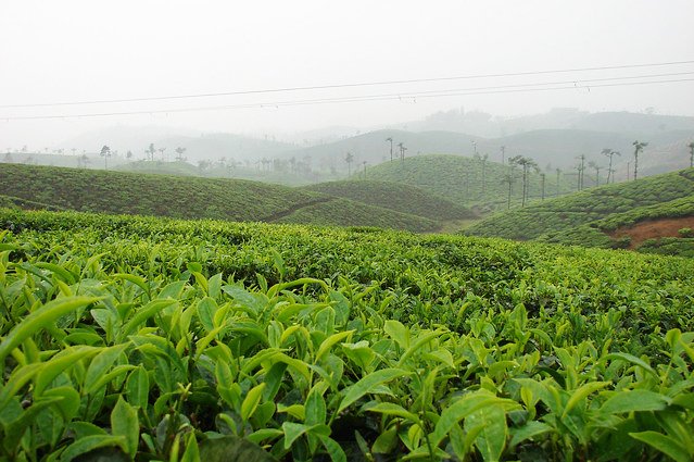 7th Heaven the postcard Town Valparai and Aliyar Dam