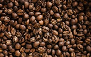 Fat Burning Foods to include with your regular Diet Plan