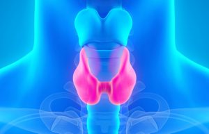 Symptoms of Endocrine Gland Disorder, Tumour or Hormones deficiency