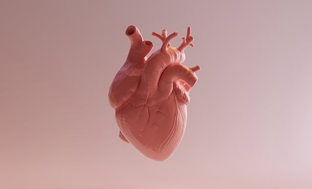 Heart Disease in Women - Everything you need to Know