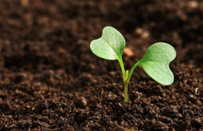 4 Marketing Tricks to Advertise for a Small matter Online