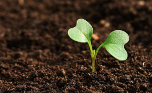 4 Marketing Tricks to Advertise for a Small matter Online