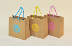 Want to make Tons of Cash from Paper Bags? Heres How?