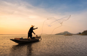 Fishers Net to Polarized Sunglasses a Fly Fishers Essential Accessories