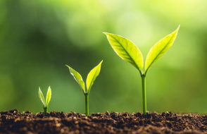 How to Buy the best Real Estate with an IRA?