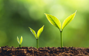 How to Buy the best Real Estate with an IRA?