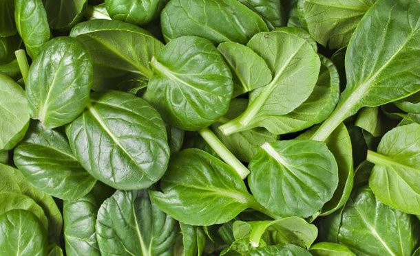 Delicious healthy and tasty Superfoods you Should Eat Everyday