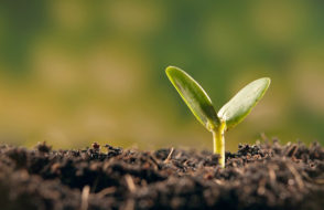 Intelligent ways of Investments with Fixed Deposit (FD)