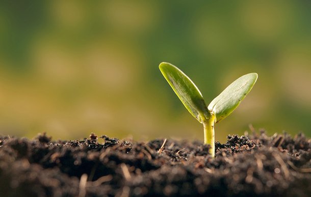 Intelligent ways of Investments with Fixed Deposit (FD)