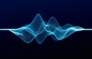 How Does PEMF Therapy Differ between Horses & Humans?