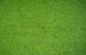 Vastu Tips for Strengthening Family Bonding with friendly Home