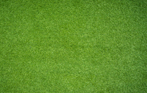 Vastu Tips for Strengthening Family Bonding with friendly Home