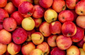 How to reduce Inches without Crash regular Dieting?