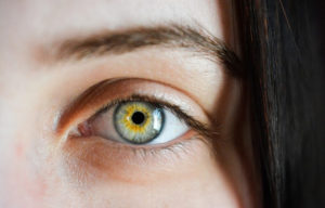 How to deal with Dry Eyes Syndrome? What are the best Cure?