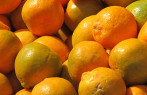 6 Healthy Lifestyle that you should adopt as a Software Developer