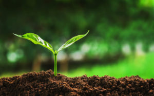 The Significance of Health Insurance and Why would you Need?