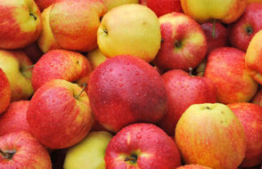 7 effective Health Science Study Tips to Try this Year