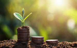 Are Virtual Accounts the Key to the Digital Banking Accessibility?