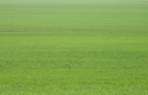 How to Create a Separation in an Open-Plan Living Space?