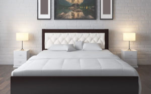 Ultimate Grab-and-Go Lunches that will Change your PG life in Delhi