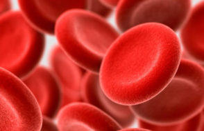 What Health Information does a Blood Test Provide?