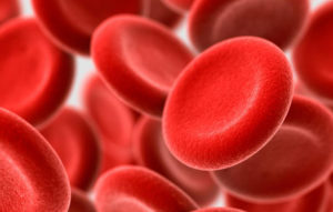 What Health Information does a Blood Test Provide?