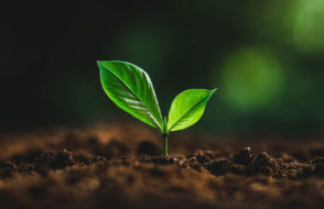 3 Significant Health advantages of having Plants at Home