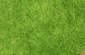 23 Big Landscaping Ideas for Small Backyards Design