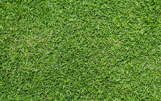Necessary Work to Clean your Garden in the Spring