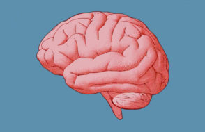 Causes, Types, and Symptoms of Meningitis and How to Treat Meningitis?