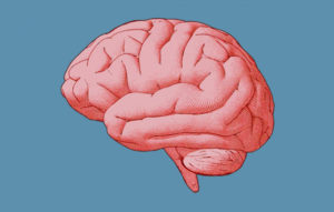 Causes, Types, and Symptoms of Meningitis and How to Treat Meningitis?