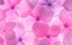 Benefits of Asian Spa Therapy for your Body - Health Guide