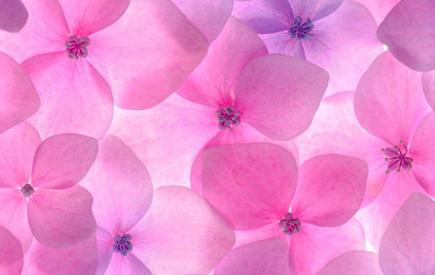 Benefits of Asian Spa Therapy for your Body - Health Guide