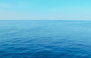 Top-Rated Campgrounds on the Coastal Oregon