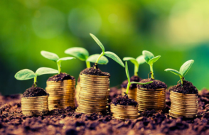 Why Should you be Outsourcing your Payroll for your Business?