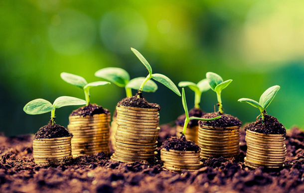 Why Should you be Outsourcing your Payroll for your Business?
