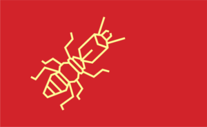 Reliable Chemical Methods for preventing Termites