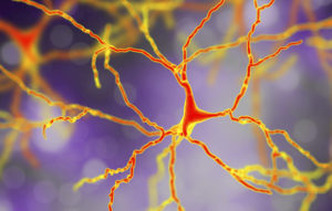 Some of the Symptoms and Treatment Options for Schizophrenia